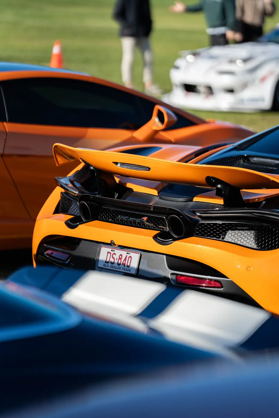 Supercars on the grass