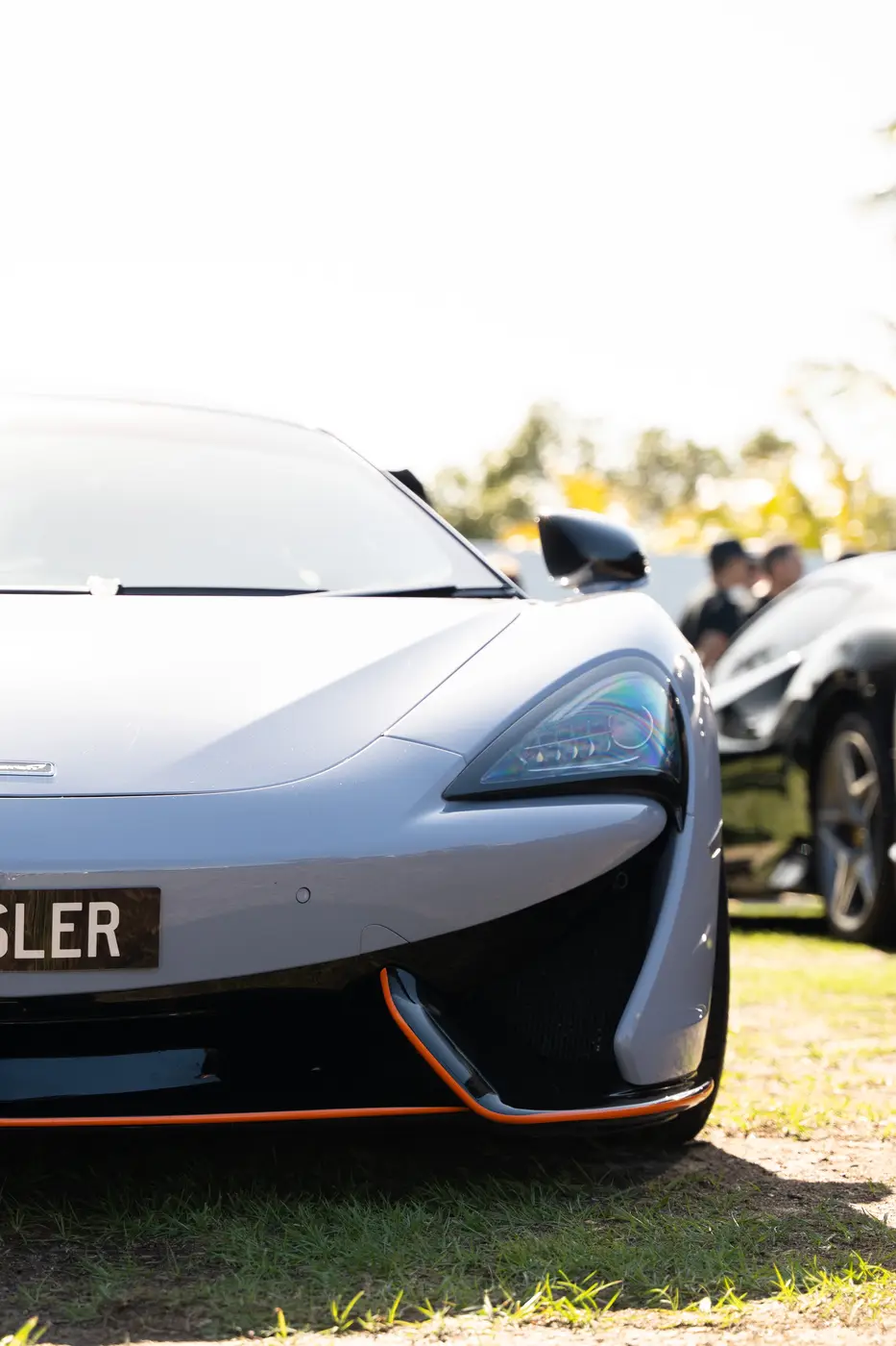 Exotics up close