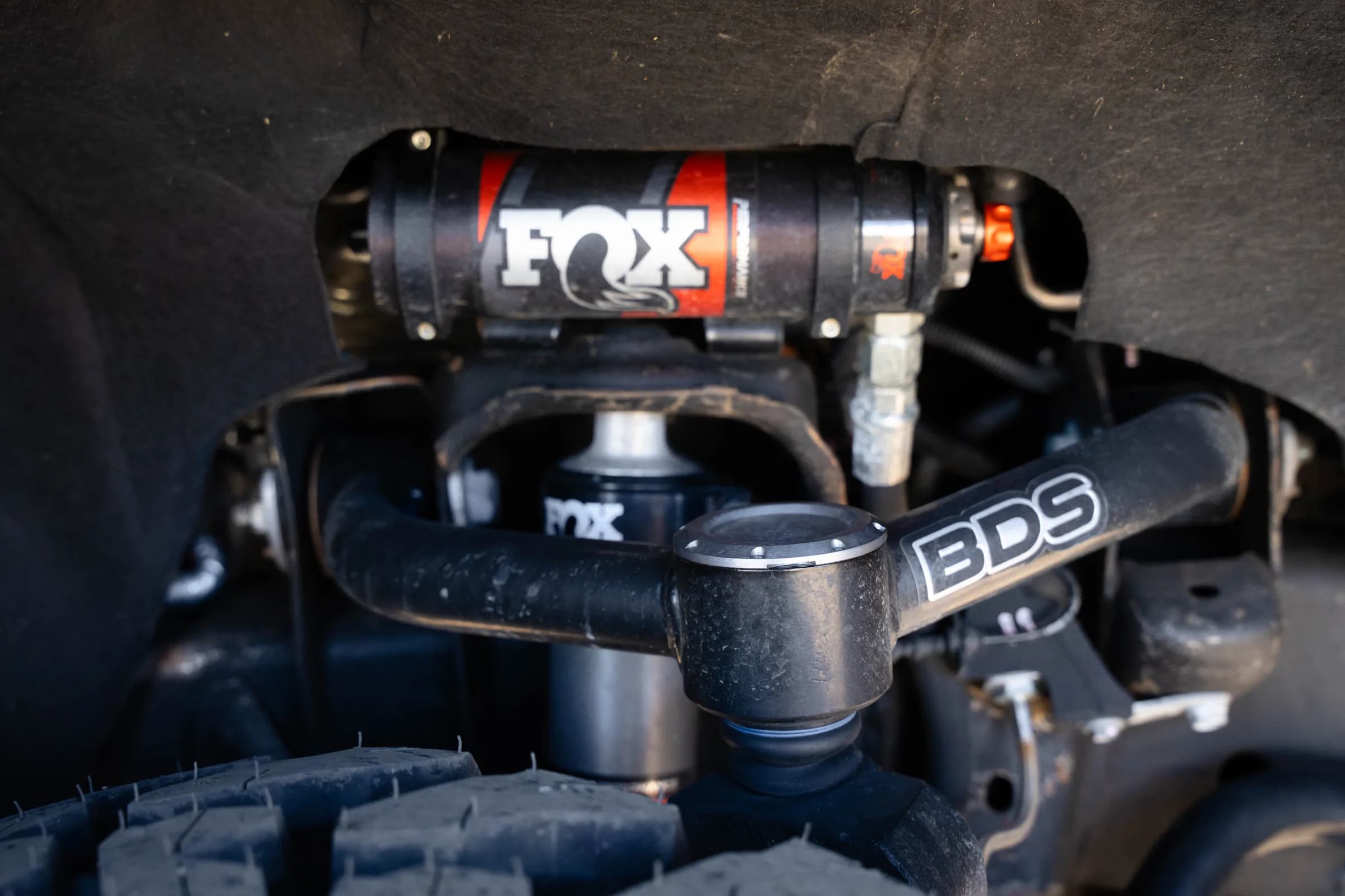 FOX and BDS Duo