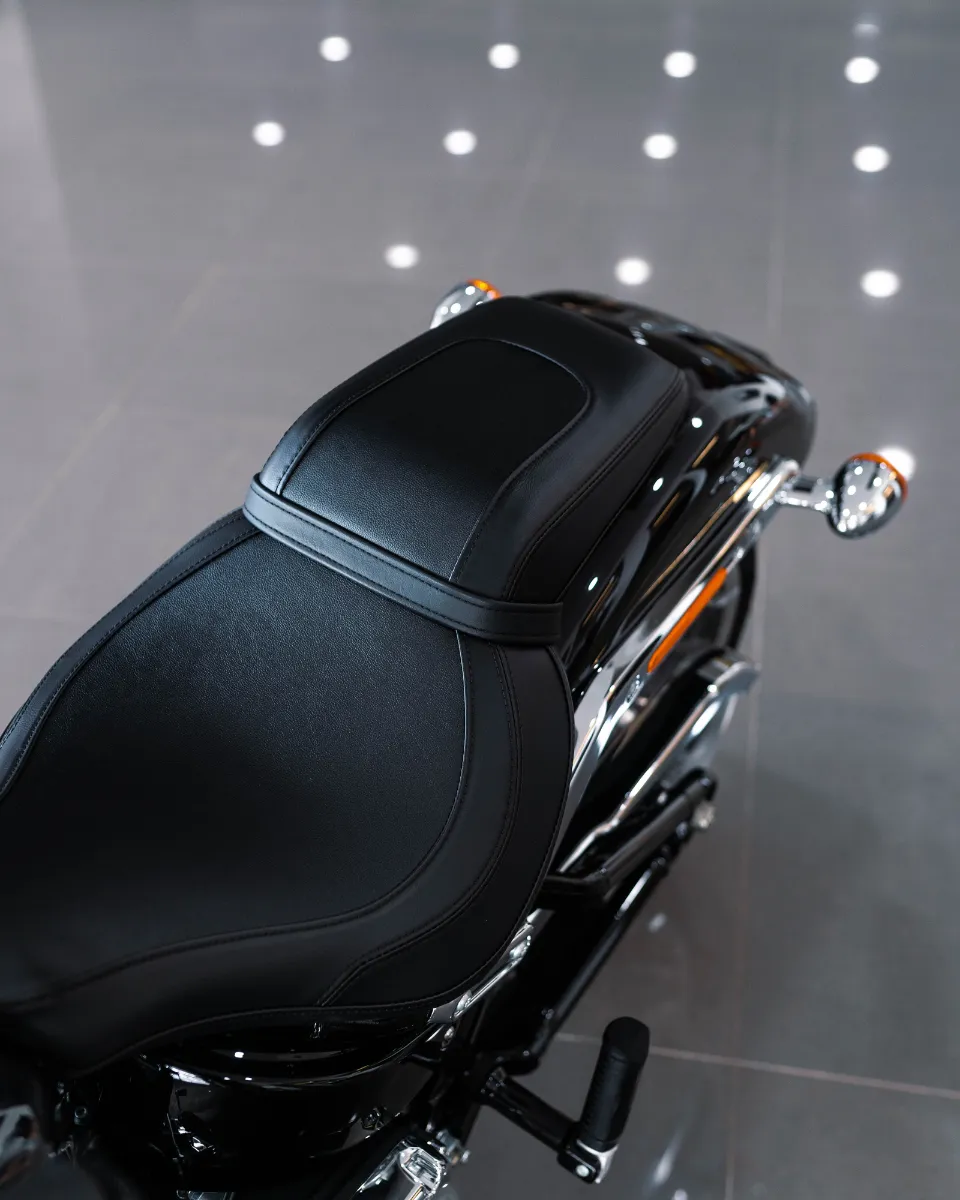 BIKE BLOG GALLERY FAT BOY (5)