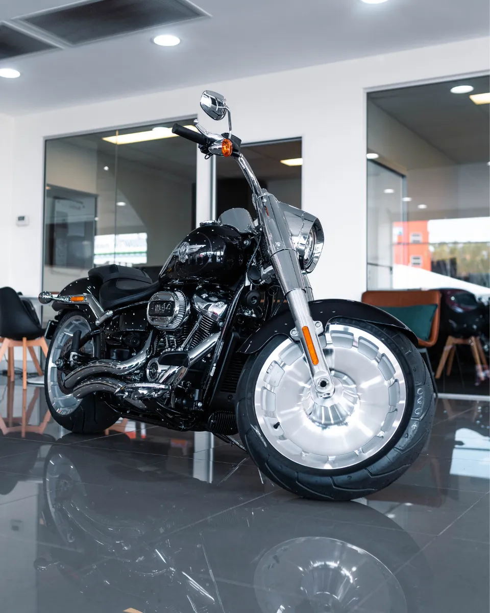 BIKE BLOG GALLERY FAT BOY (8)