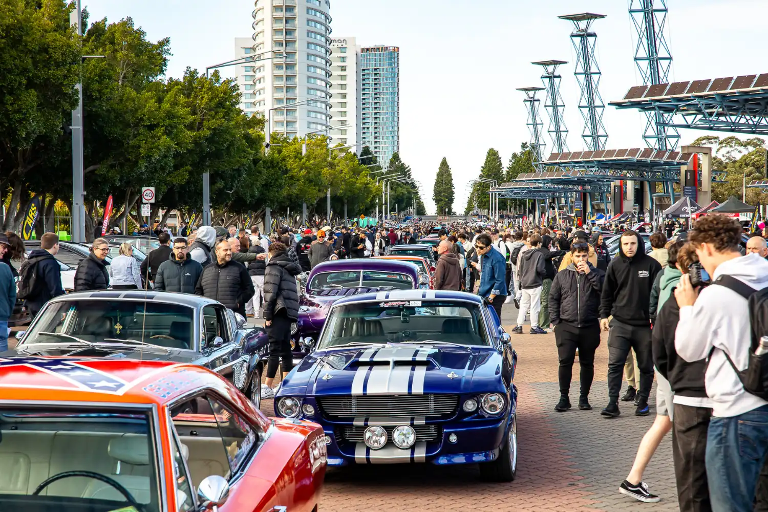 Cars & Culture Blog Image (27)_q50