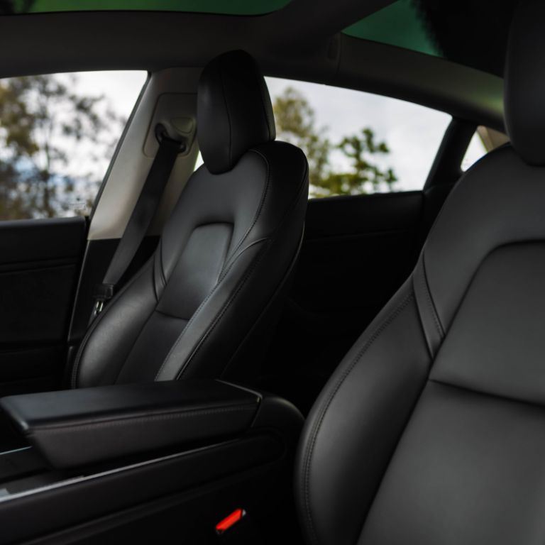 MOTOR CULTURE AUSTRALIA TESLA (20)