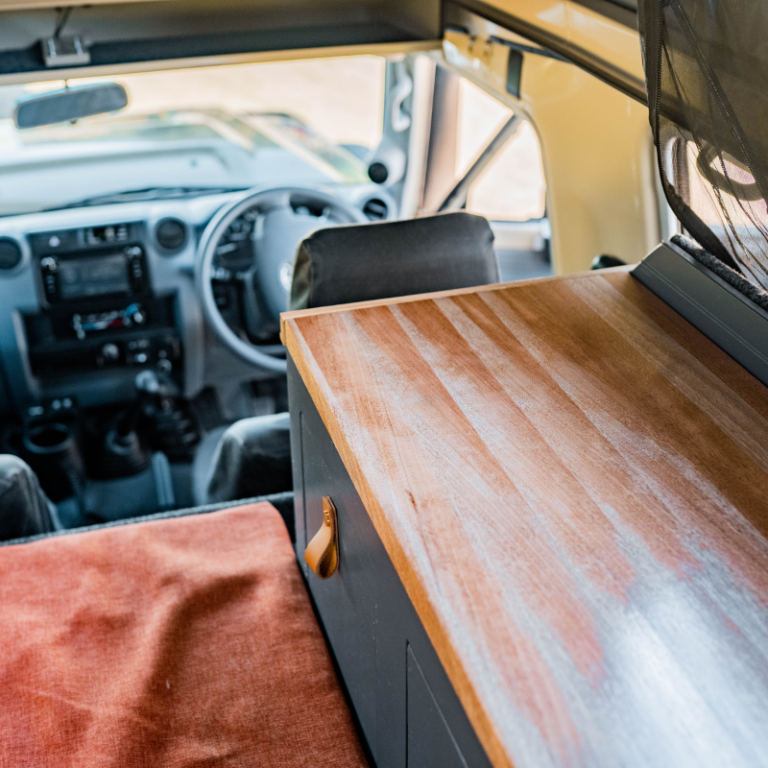 TOYOTA LANDCRUISER TROOPY (12)