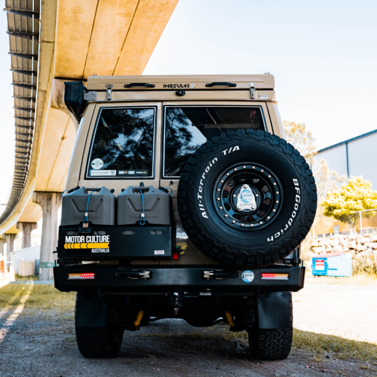 TOYOTA LANDCRUISER TROOPY (2)