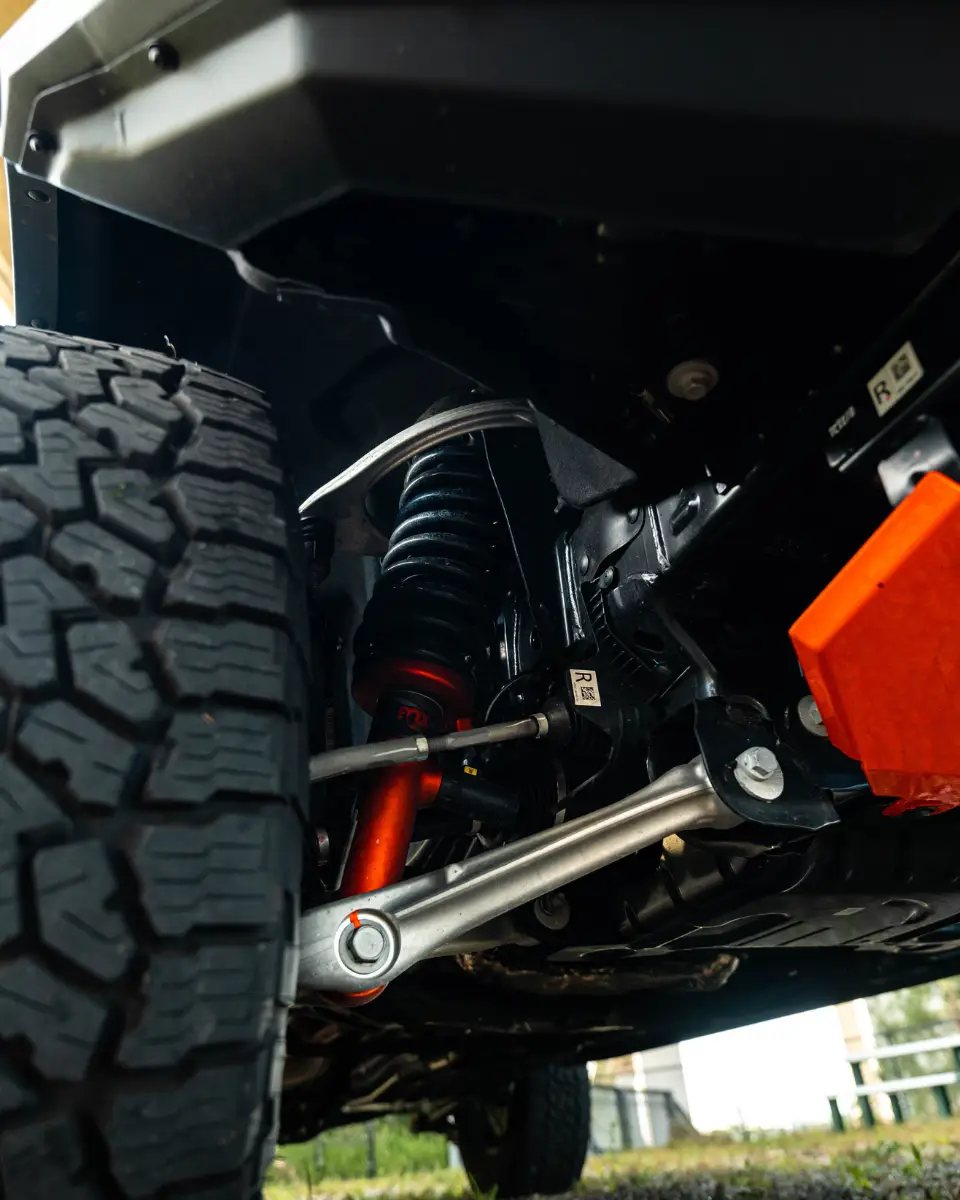 1 DAY RAPTOR GALLERY (11)