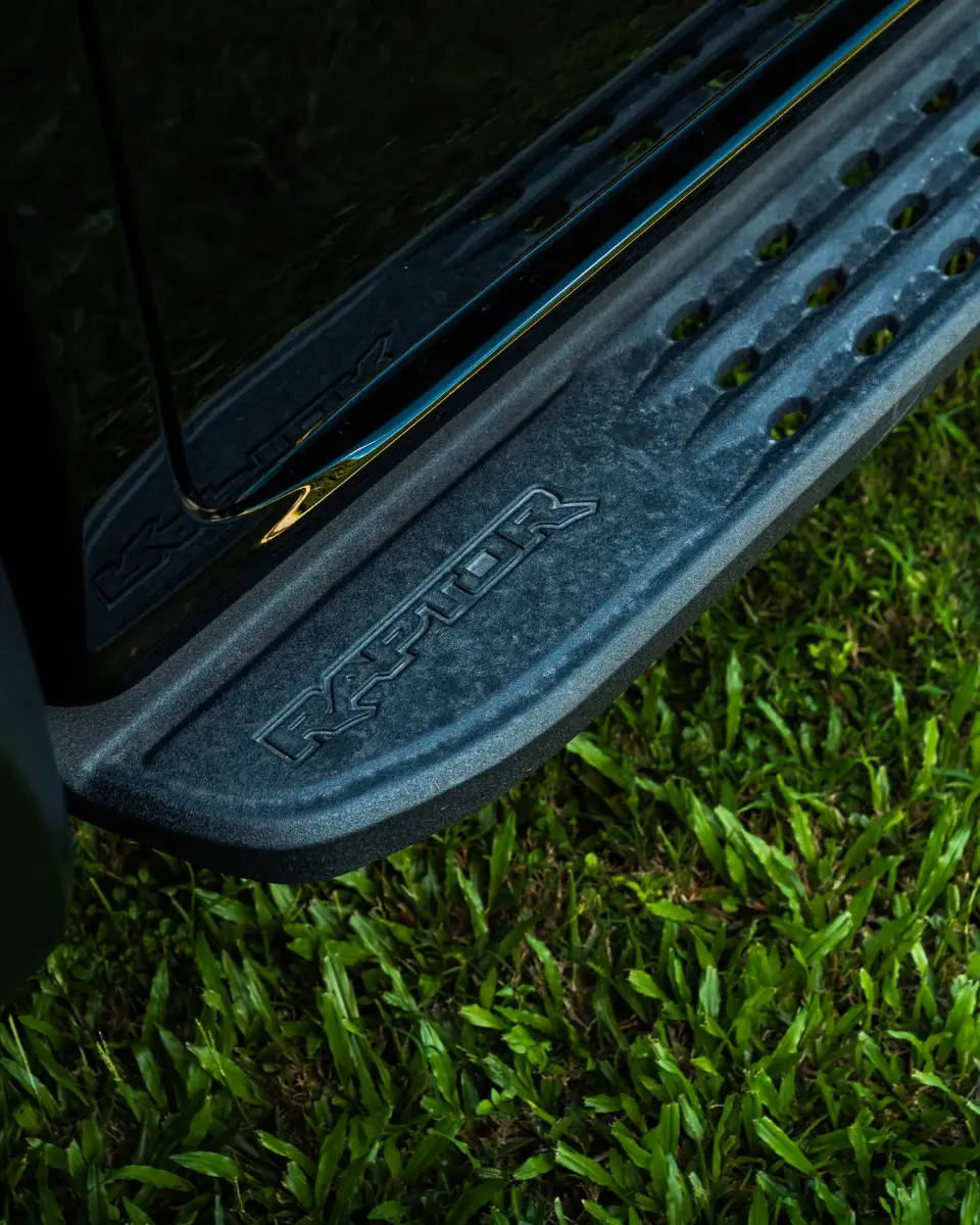 1 DAY RAPTOR GALLERY (27)