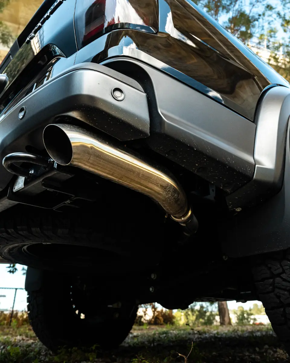 1 DAY RAPTOR GALLERY (9)