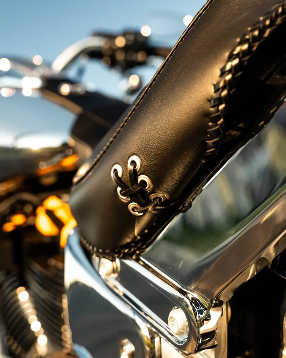 1 DAY HARLEY DAVIDSON GHOST MOTOR CULTURE AUSTRALIA IMAGE (4)