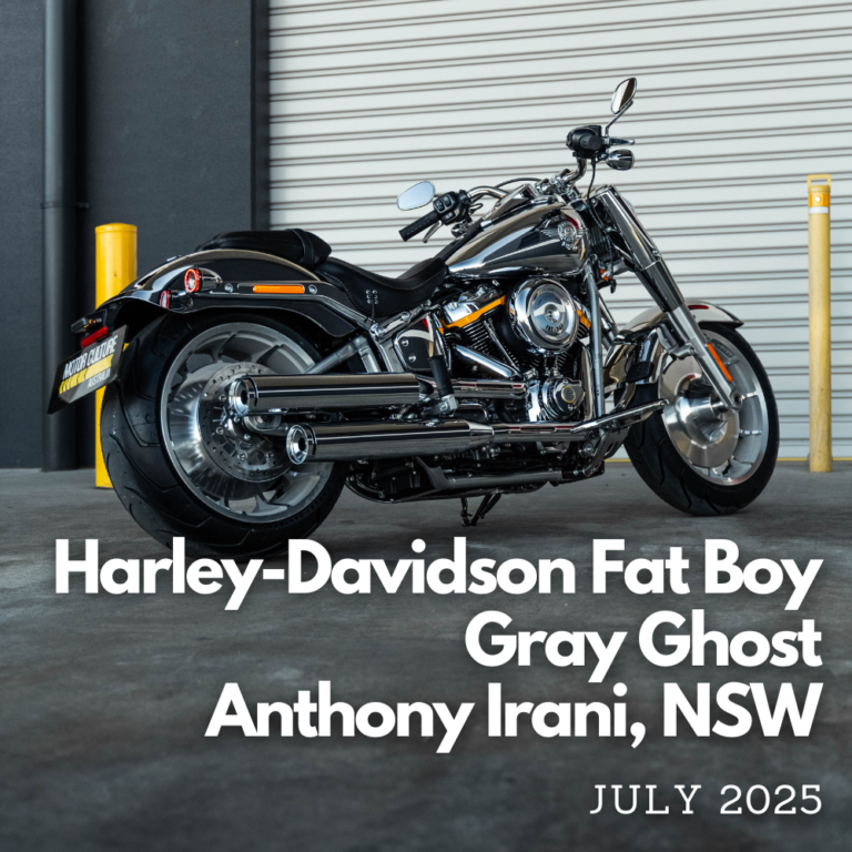 HARLEY GRAY GHOST WINNER LARGE
