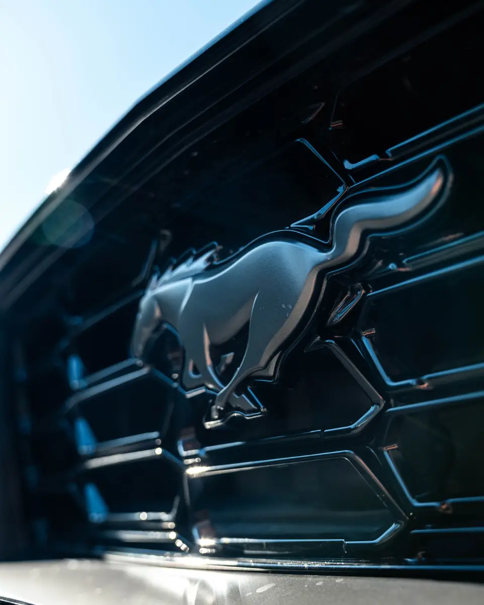 MUSTANG DARK HORSE GALLERY (15)