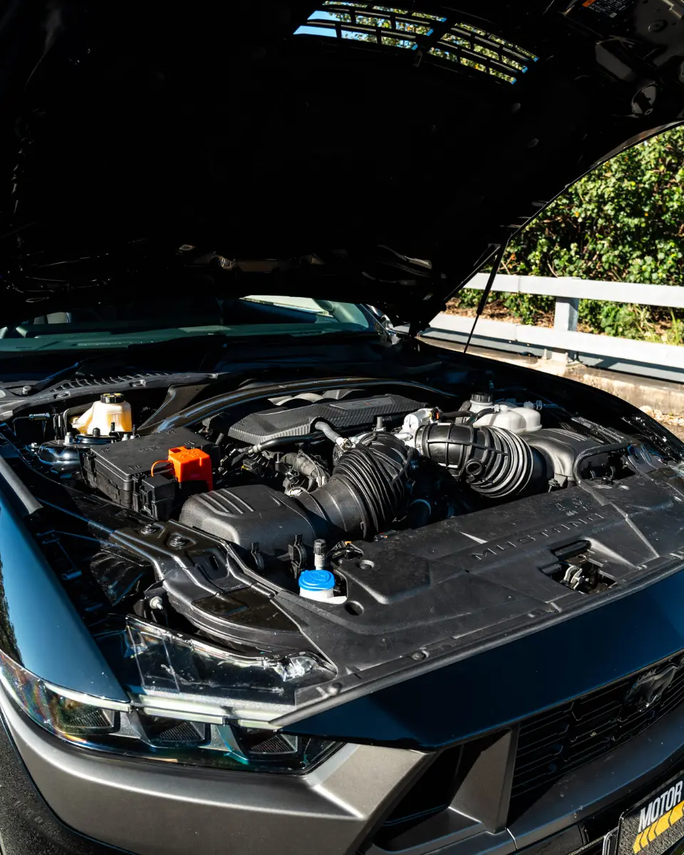 MUSTANG DARK HORSE GALLERY (23)
