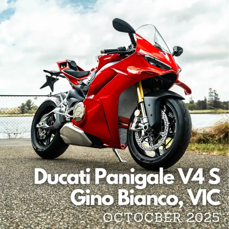 DUCATI PANIGALE V4 WINNER LARGE