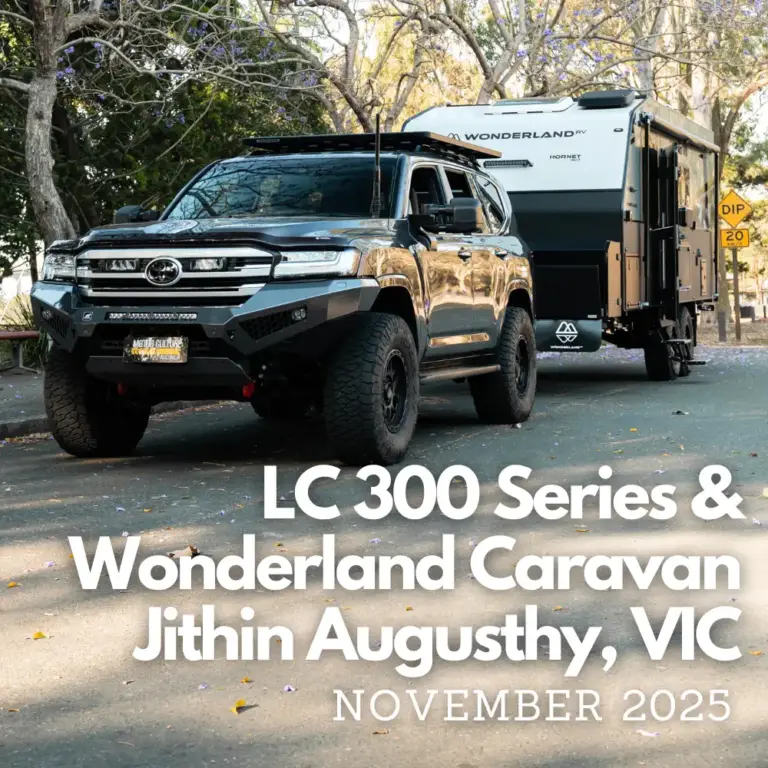 LC300 & WONDERLAND WINNER LARGE