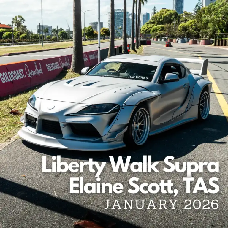 LBWK SUPRA WINNER LARGE