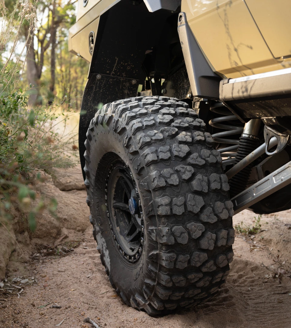 LC79 WEB IMAGE NEW (2)