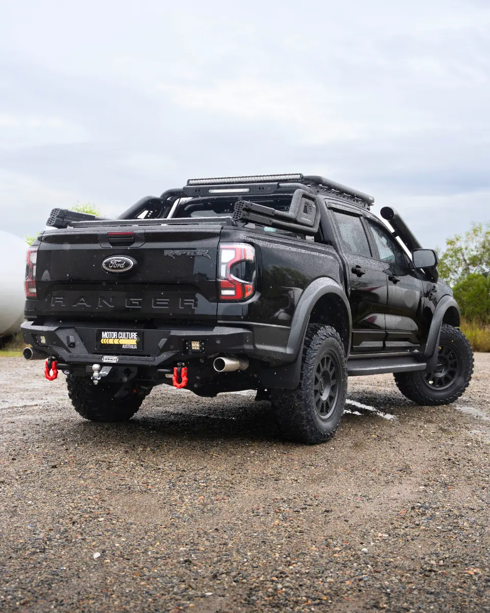 RAPTOR (2)_q75