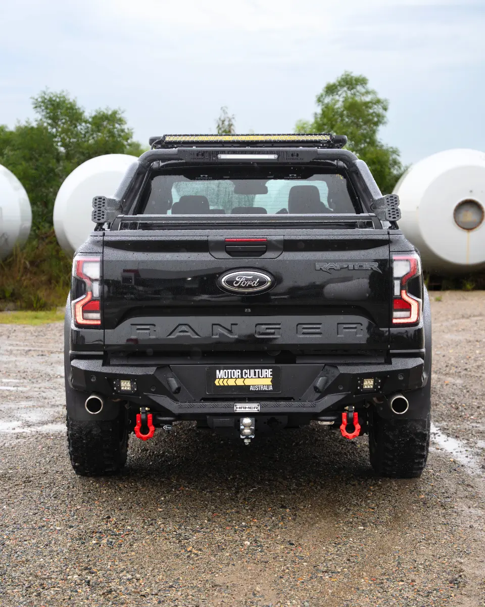 RAPTOR (4)_q75