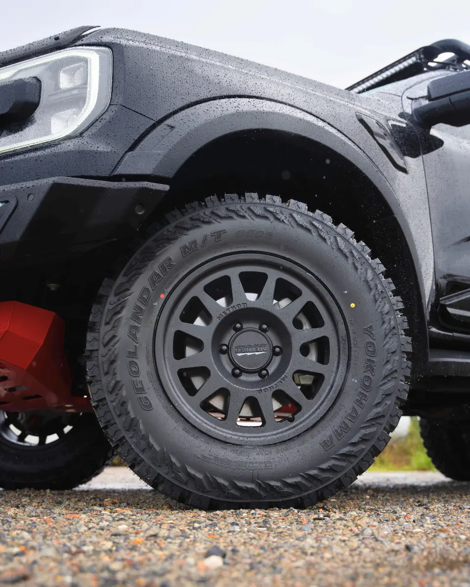 RAPTOR (5)_q75