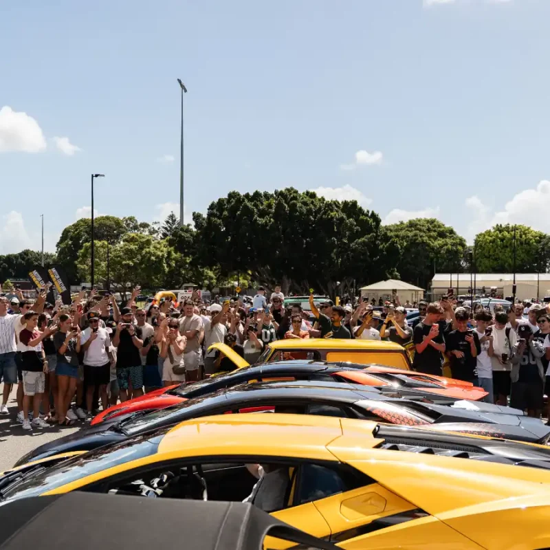 C&C.GC.23.02_-235_q50